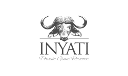 Frame 18207
